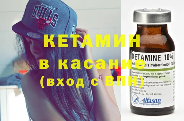 стаф Алексин