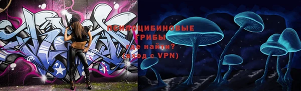 соль курить ск Алзамай