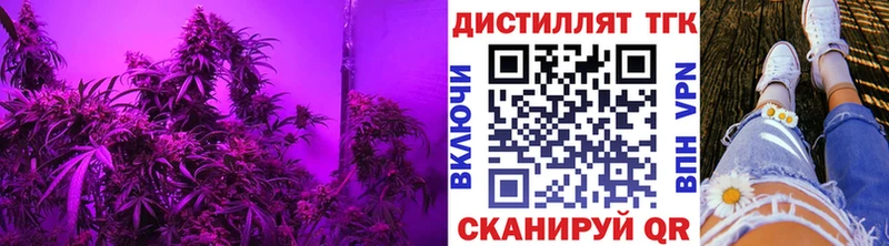 это наркотические препараты  ОМГ ОМГ зеркало  Сенгилей  Дистиллят ТГК Wax 